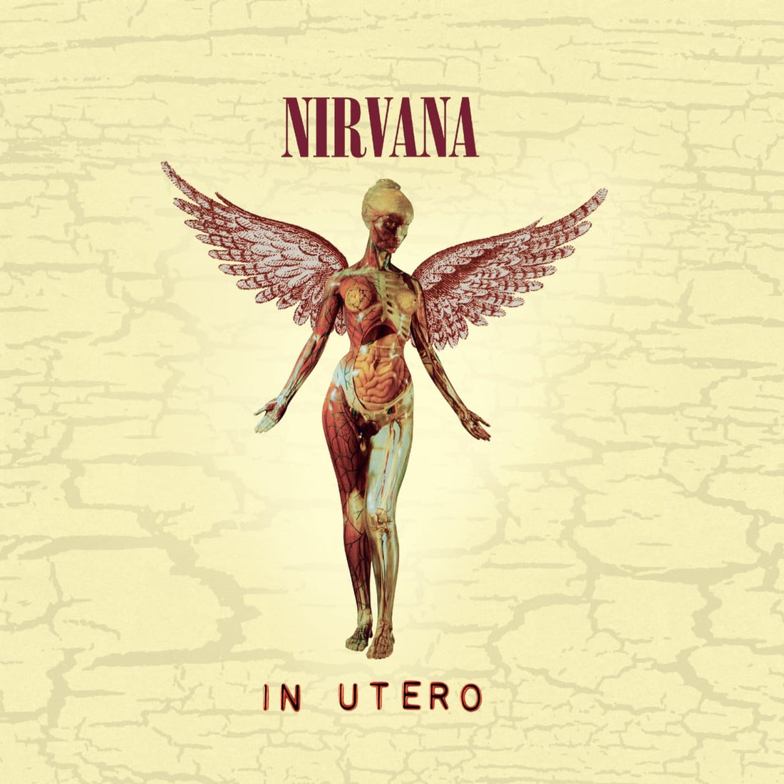 Nirvana and 'In Utero' Nevermind the critics Official Merchandise Store